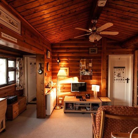 Rustic Log Cabin In Snowdonia By Seren Short Stays Trawsfynydd Luaran gambar