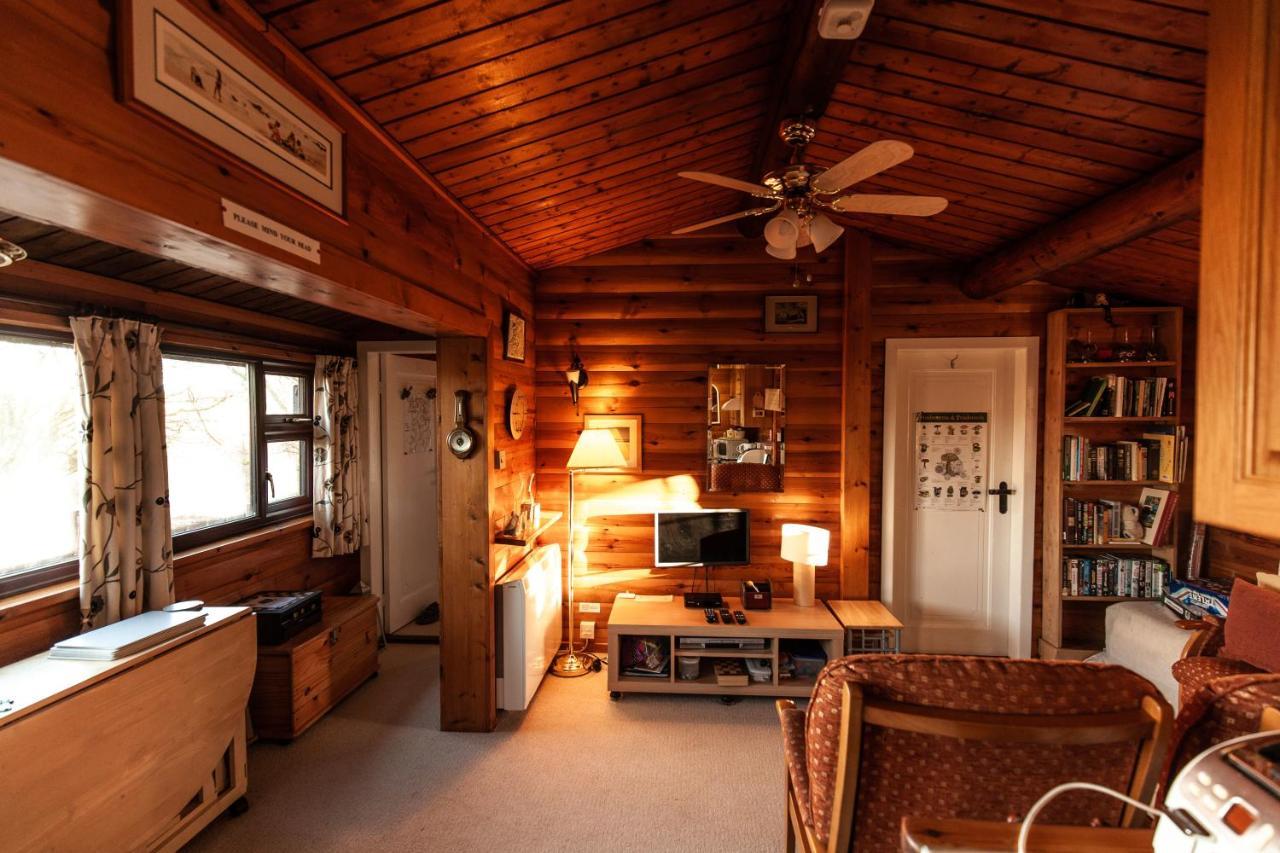 Rustic Log Cabin In Snowdonia By Seren Short Stays Trawsfynydd Luaran gambar