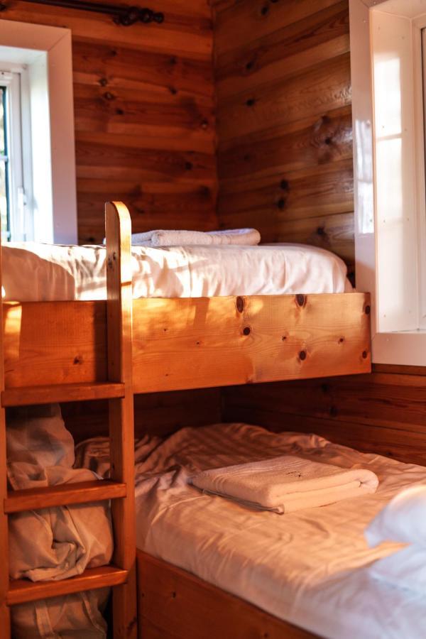 Rustic Log Cabin In Snowdonia By Seren Short Stays Trawsfynydd Luaran gambar