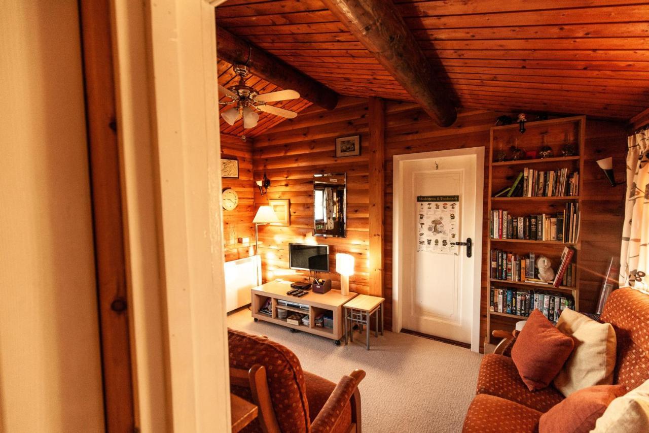 Rustic Log Cabin In Snowdonia By Seren Short Stays Trawsfynydd Luaran gambar